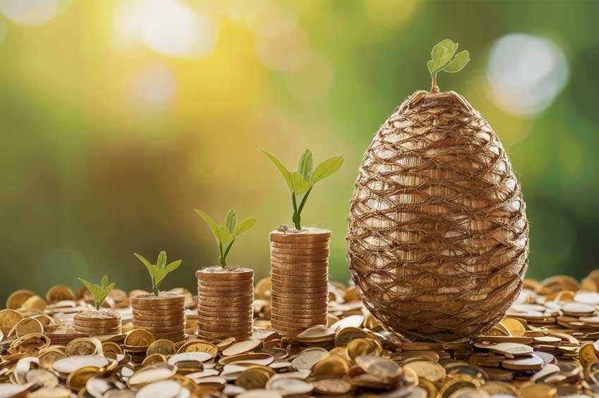 Hatching Your Financial Future: Why Best Egg Loans Are a Smart Choice